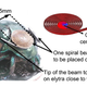 Illustration for article titled Cyborg Beetles Powered by a Wing and a Piezolectric Prayer